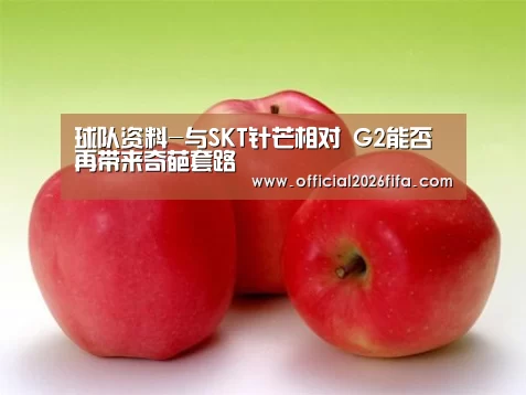 球队资料-与SKT针芒相对 G2能否再带来奇葩套路(图2) 世界杯资讯