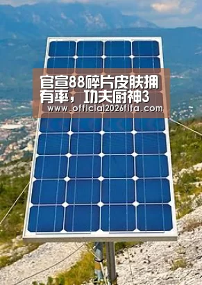 球队资料