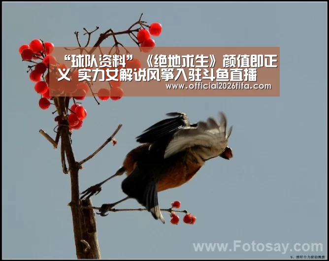 “球队资料”《绝地求生》颜值即正义 实力女解说风筝入驻斗鱼直播(图3) 世界杯资讯