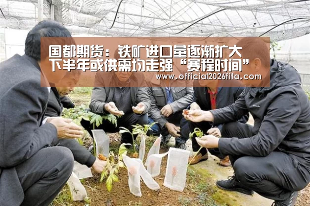 世界杯资讯